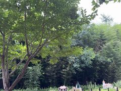-青岛德国总督楼旧址博物馆