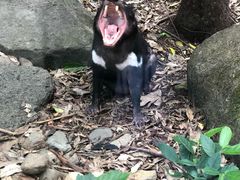 -可伦宾野生动物保护区