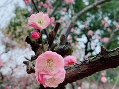 -盘门景区