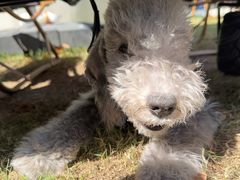 -J Create城市露营咖啡·简餐·宠物(上海动物园店)