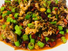 尖椒鸡-春涛餐馆(下坝店)