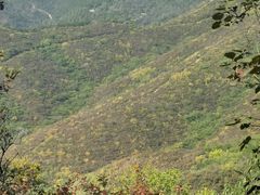 -北京西山国家森林公园