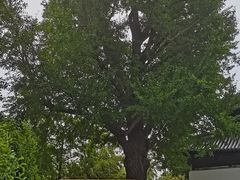 -狼山风景名胜区