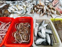 -霞海鸭仔饭店(海滨大道北店)