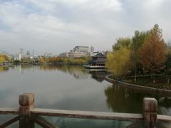 -雁滩公园