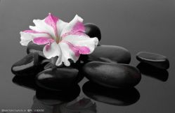 -Oasis Beauty水磨坊科技美肤中心