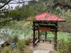 -广州白江湖森林公园