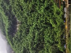 -阿依河景区