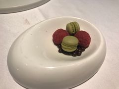 -蝶舍·MAISON PAPILLON