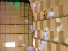 -上海雅居乐万豪侯爵酒店