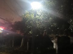 -杭州城北体育公园