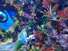 -成都浩海立方海洋公园