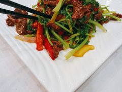 -陈记粤湛鸡饭店