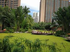 -亚马逊丛林水乐园