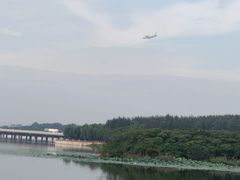 -丁香湖公园