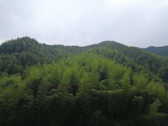 -将军关探险漂流