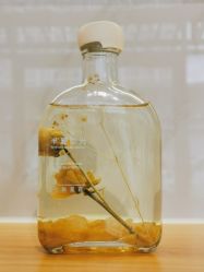 -纤纤玉手美甲美睫美容