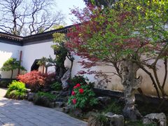 -上海醉白池公园