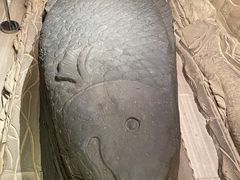 -白鹤梁水下博物馆