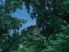 -北京石刻艺术博物馆(五塔寺)