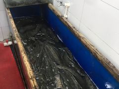 -活鱼馆(宜兴埠店)