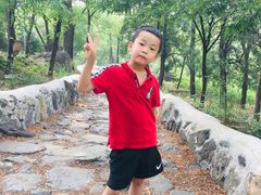 -阳台山自然风景区