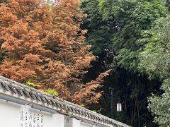 -黄龙溪古镇