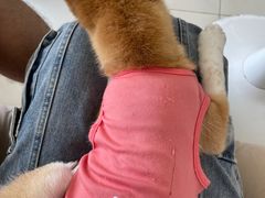 -怪兽屋·羊驼·猫咖·狗咖(俊华广场店)