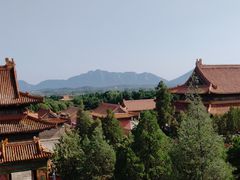 -清东陵