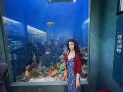 -国家自然博物馆