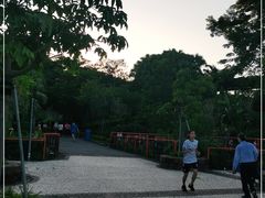 -纪念孙中山市政公园