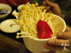 IMG_5372-蜀九香火锅(彩虹店)