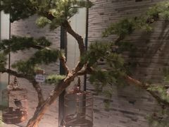 -小厨娘淮扬菜(六合欢乐港店)