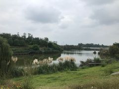 -白鹭湾湿地公园