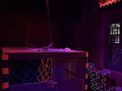 -棂笼·深度沉浸密室(武汉旗舰店)