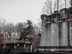 -音乐台