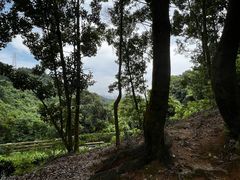 -阳台山森林公园