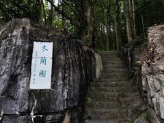 -深圳仙湖植物园