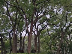 -徐家汇源景区-衡山公园