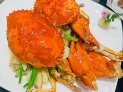 姜葱炒肉蟹-新南华大酒店(广中店)