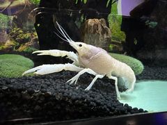 -正佳极地海洋世界