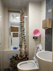 -紫洁俪方（北京）医疗美容