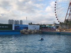 -三亚海昌梦幻海洋不夜城