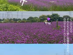 -上海杨姆庄园