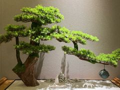 -耳域躺式采耳SPA馆(新街口店)