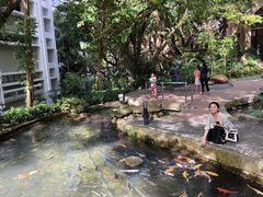 -香港大学