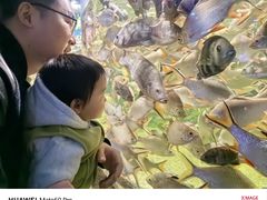 -多彩贵州城极地海洋世界