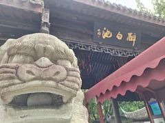 -上海醉白池公园
