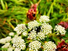 -终南山国家森林公园