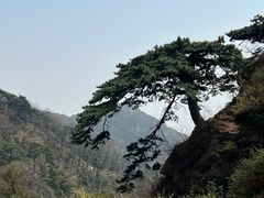 -泰山风景名胜区